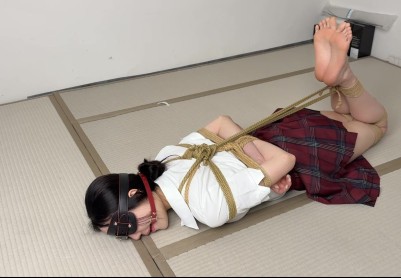 【眼眸出品】第九十六部 《女仆家政惩罚》（下集）