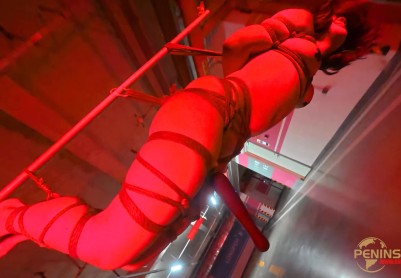 【半岛束艺台】【落叶】Orgasm不分场合