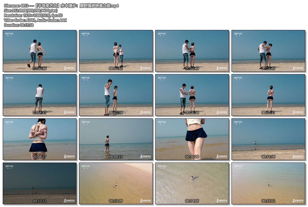 4853----【半岛束艺台】水中漫步：鹿野海岸绝美之旅.jpg