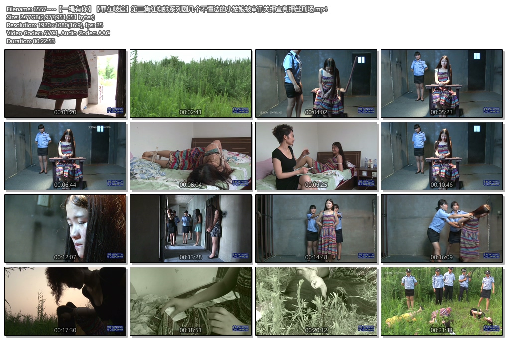 6557----【一绳有你】【罪在歧途】第三集红蜘蛛系列剧几个不懂法的小姑娘被审讯关押.jpg