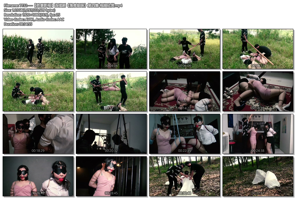 7732----【胜景影视】连续剧《落难姐妹》第四集 视频欣赏.jpg