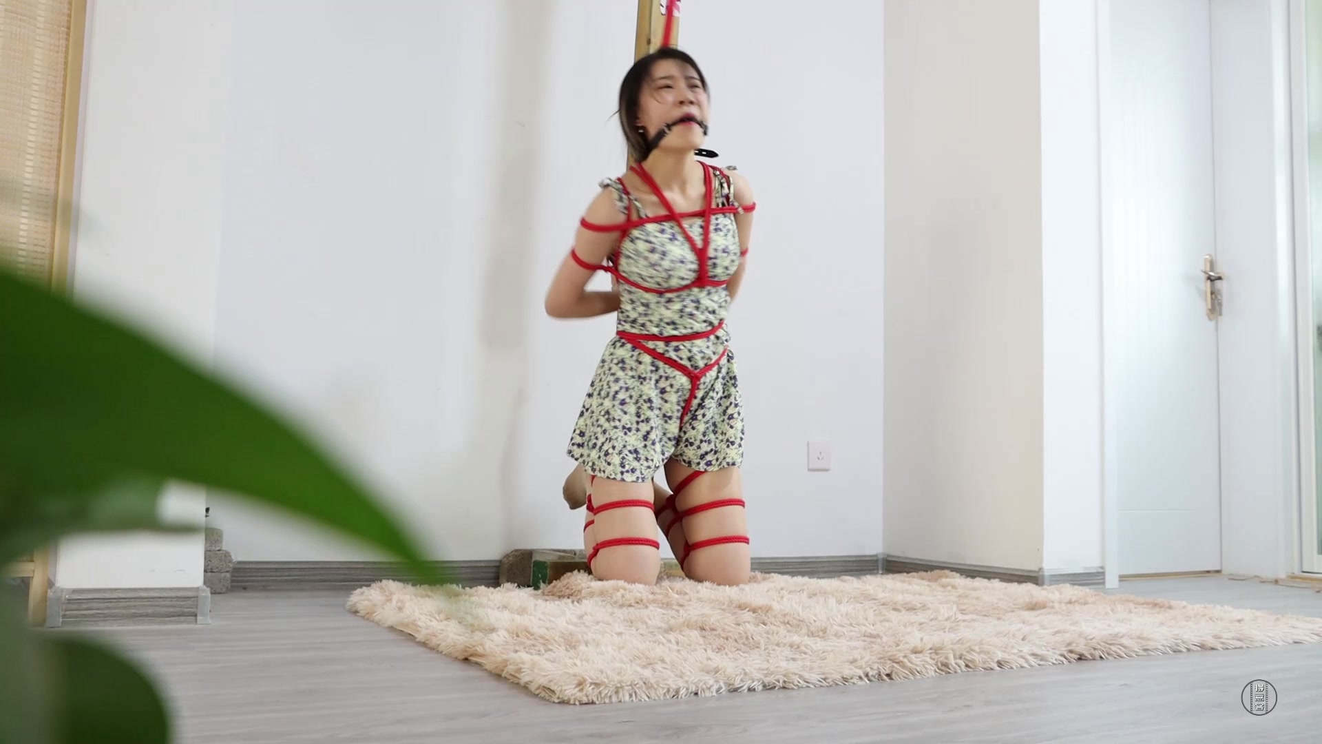 8730.mp4-10.jpg