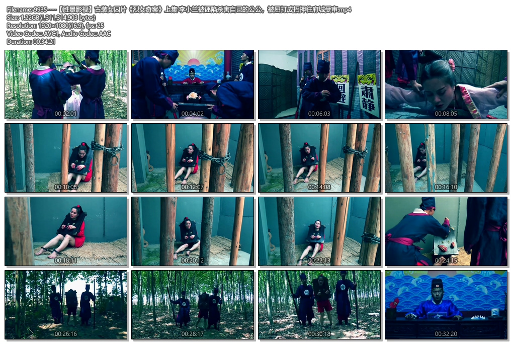 9935----【胜景影视】古装女囚片《烈女奇案》上集 李小兰被诬陷杀害自己的公公.jpg