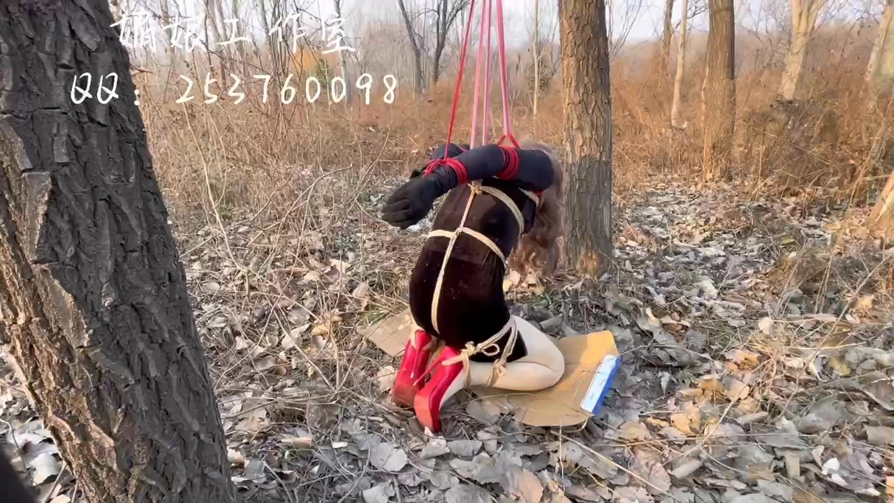 11815----.0013.jpg