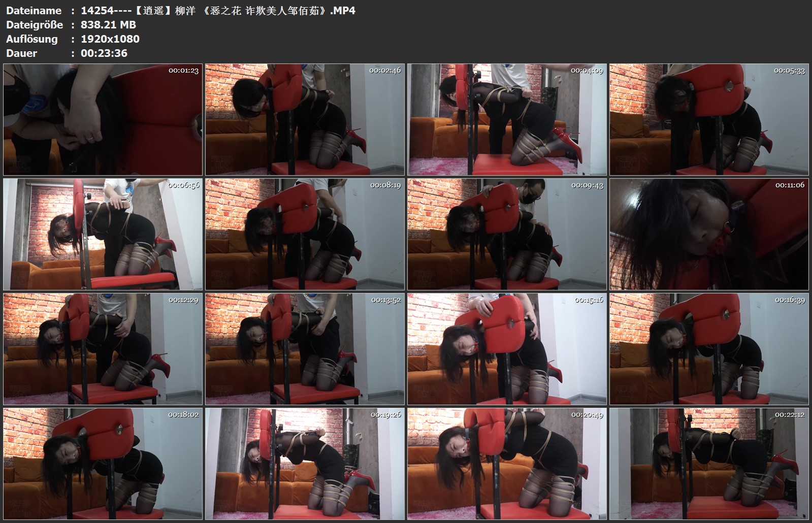 14254----【逍遥】柳洋 《恶之花 诈欺美人邹佰茹》.jpg