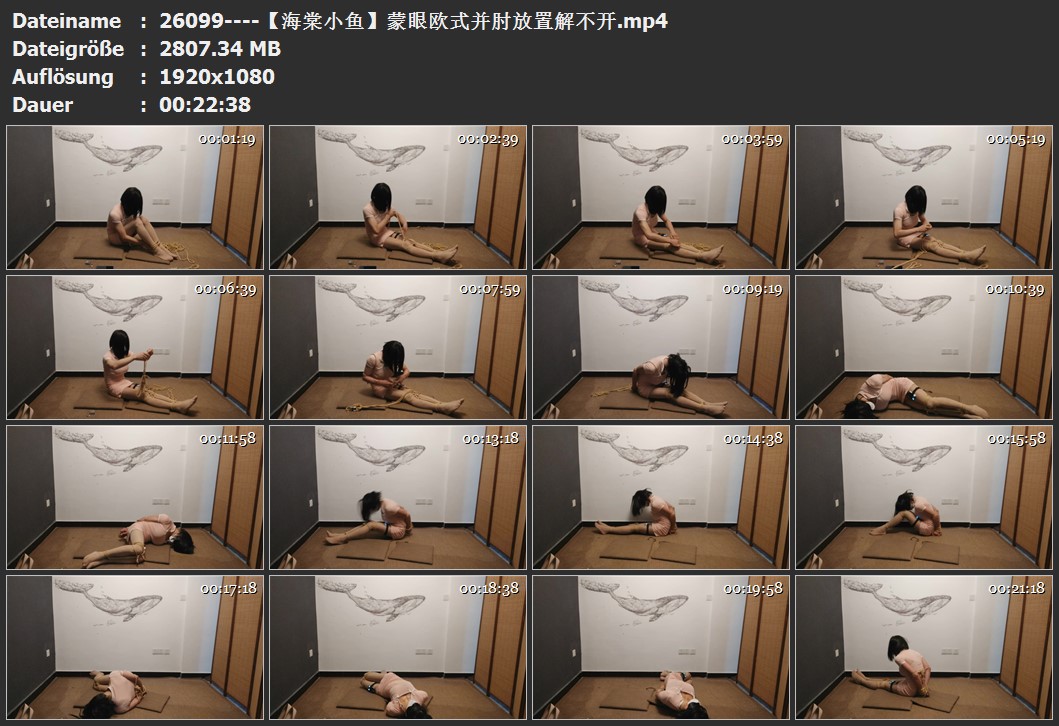 26099----【海棠小鱼】蒙眼欧式并肘放置解不开.jpg