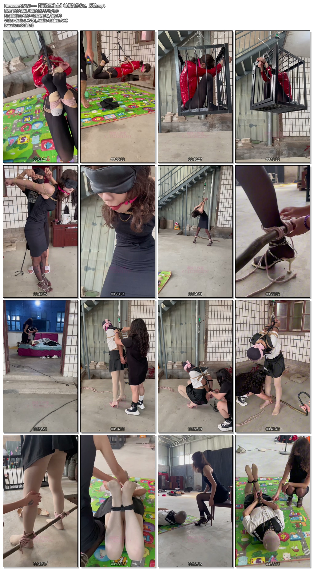 28481----【媚娘工作室】被绑架的女S，反转.jpg