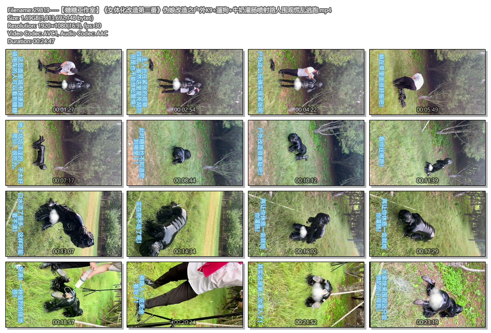 29819----【糖糖工作室】《女体化改造第三番》伪娘改造之户外K9 遛狗 牛奶灌肠喷射路.jpg