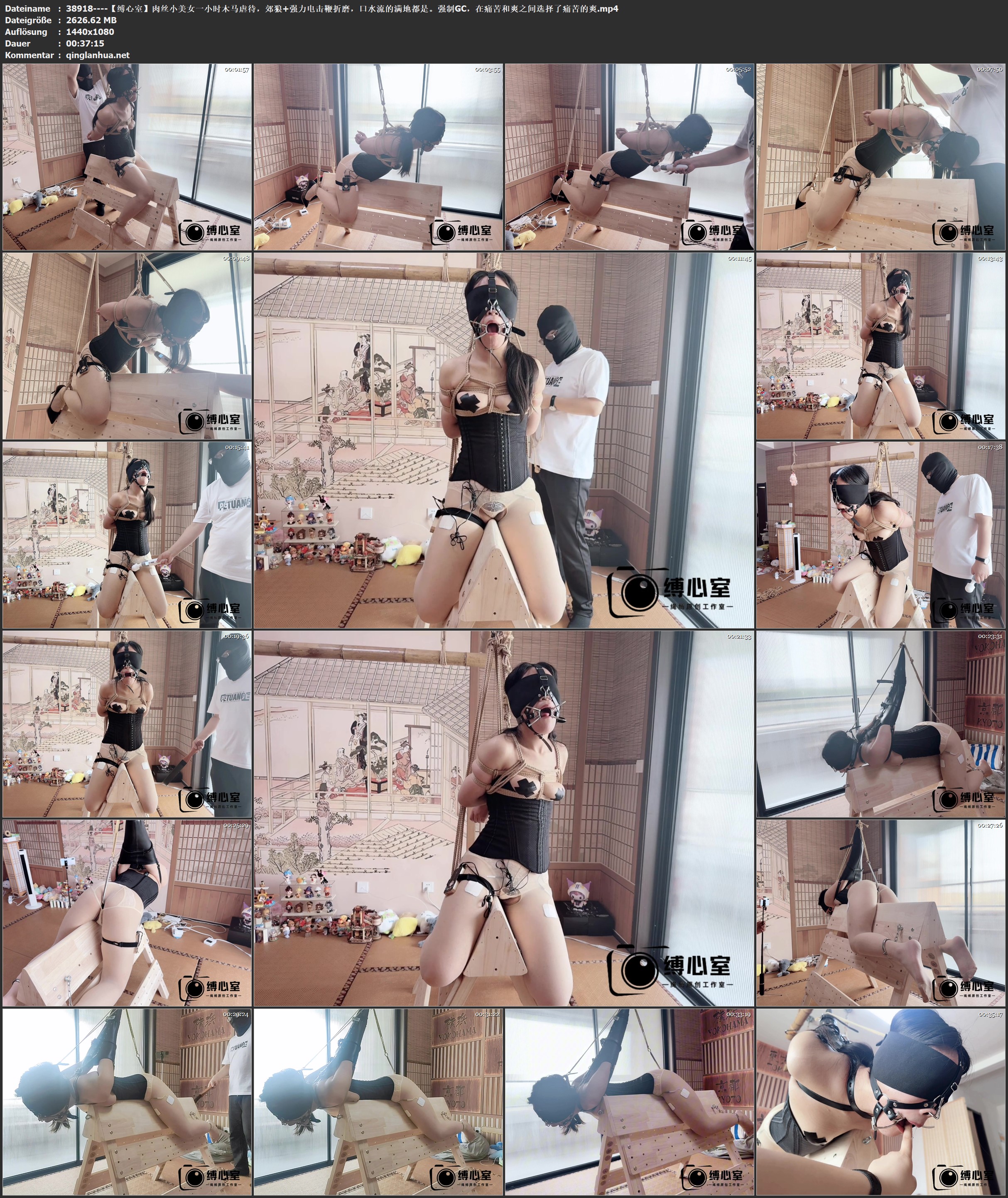 38918----【缚心室】肉丝小美女一小时木马虐待，郊狼 强力电击鞭折磨，口水流的满地都.jpg