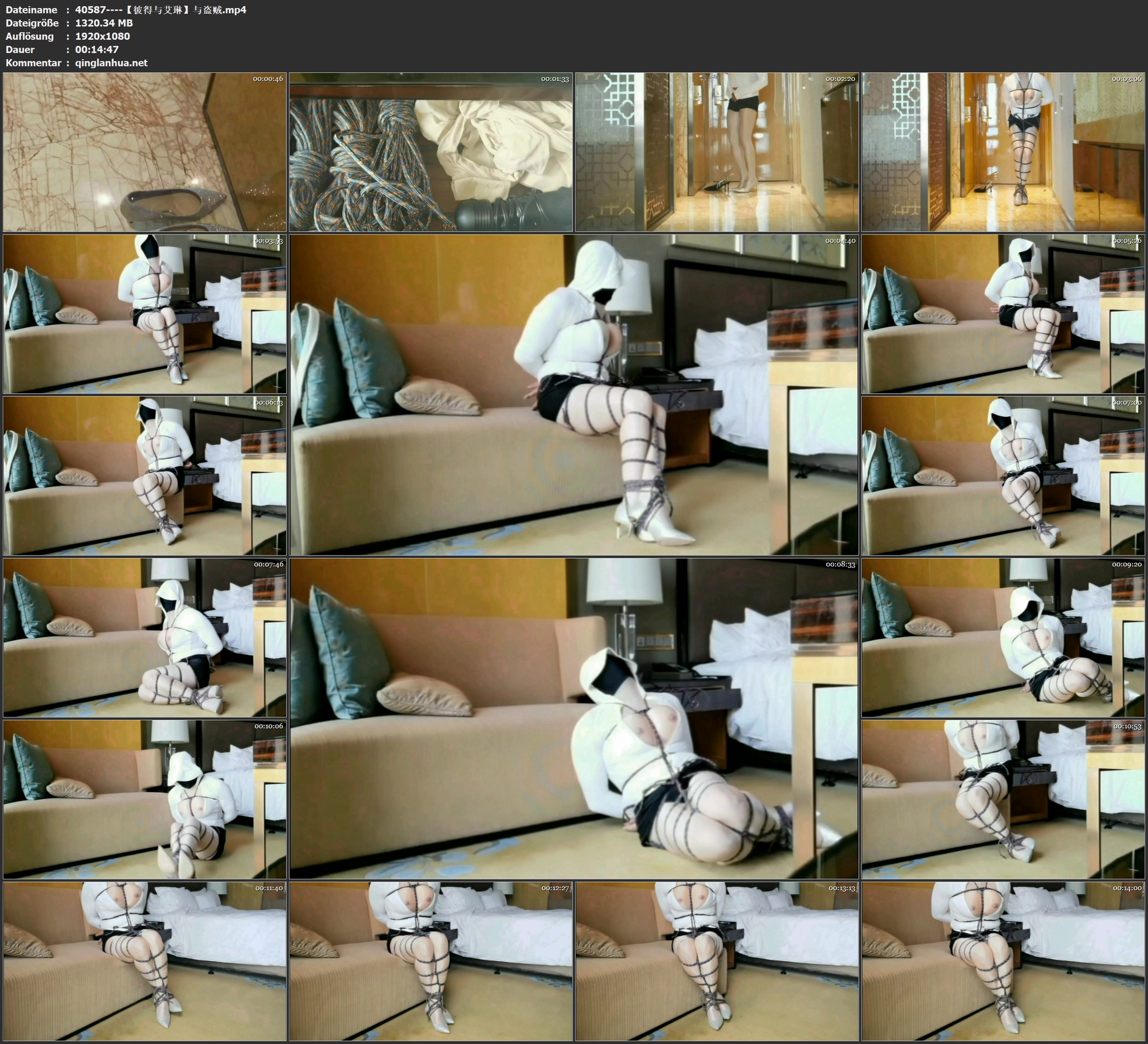40587----【彼得与艾琳】与盗贼.jpg