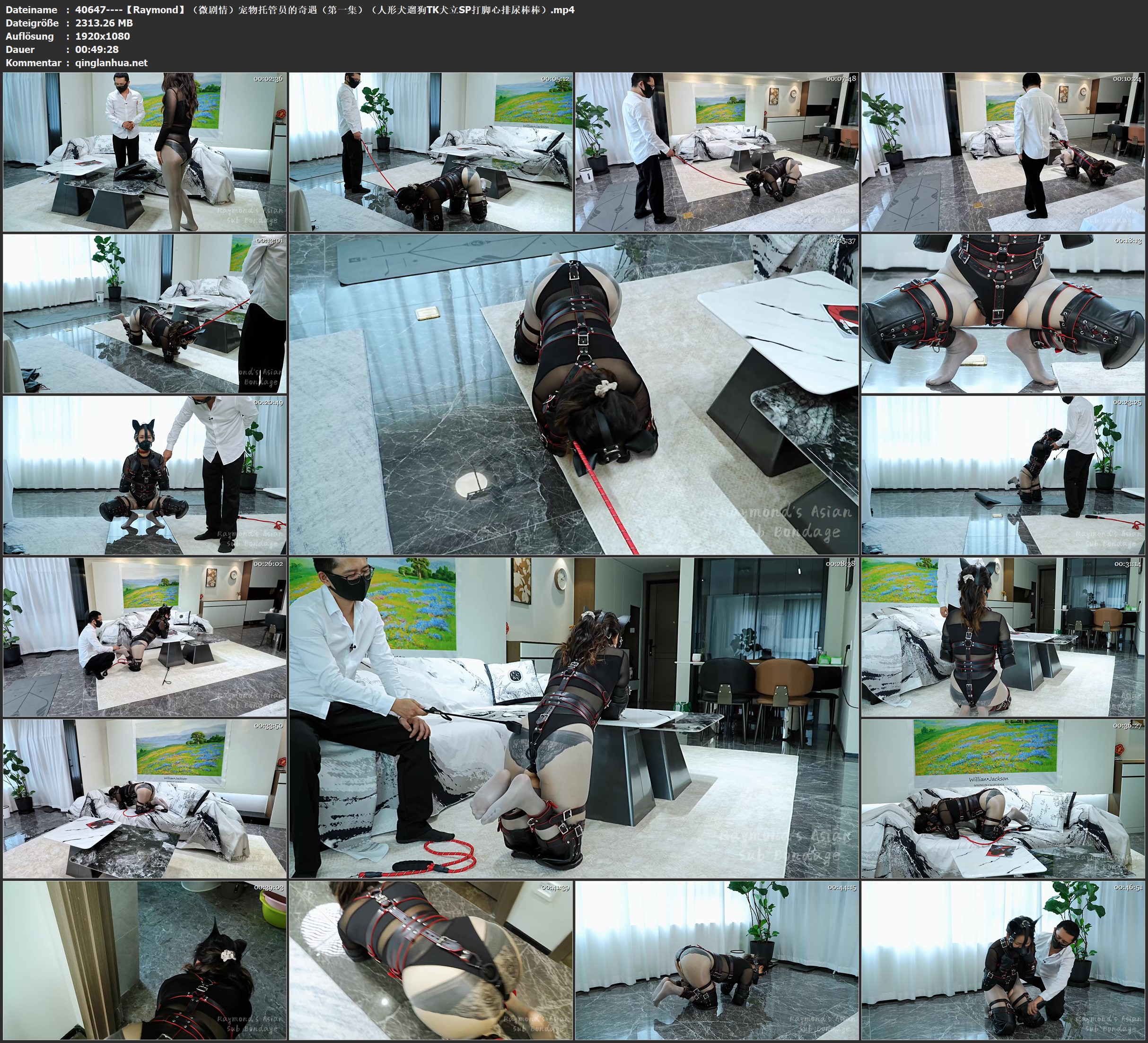 40647----【Raymond】（微剧情）宠物托管员的奇遇（第一集）（人形犬遛狗TK犬立SP打脚.jpg