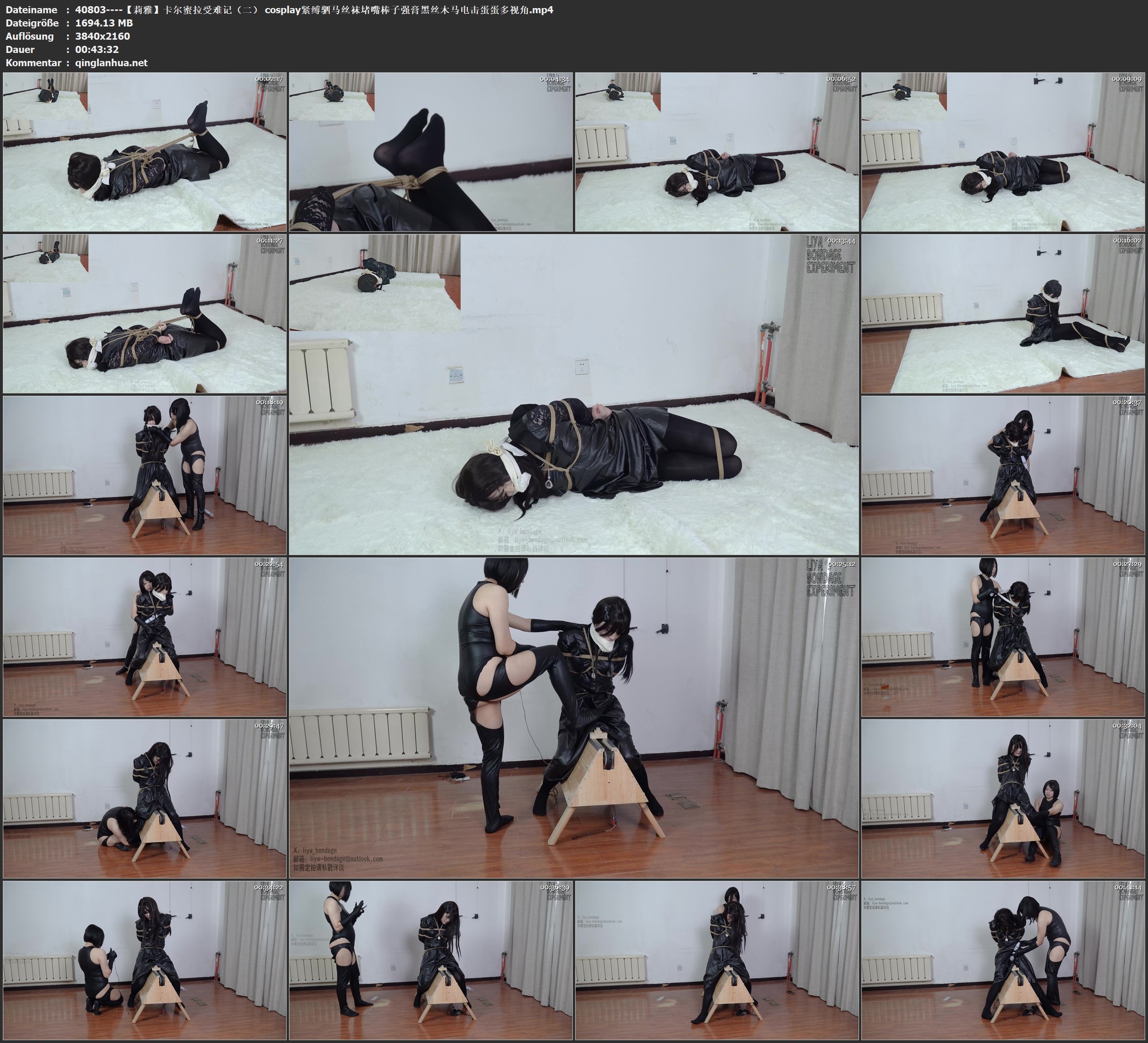 40803----【莉雅】卡尔蜜拉受难记（二） cosplay紧缚驷马丝袜堵嘴棒子强膏黑丝木马电.jpg