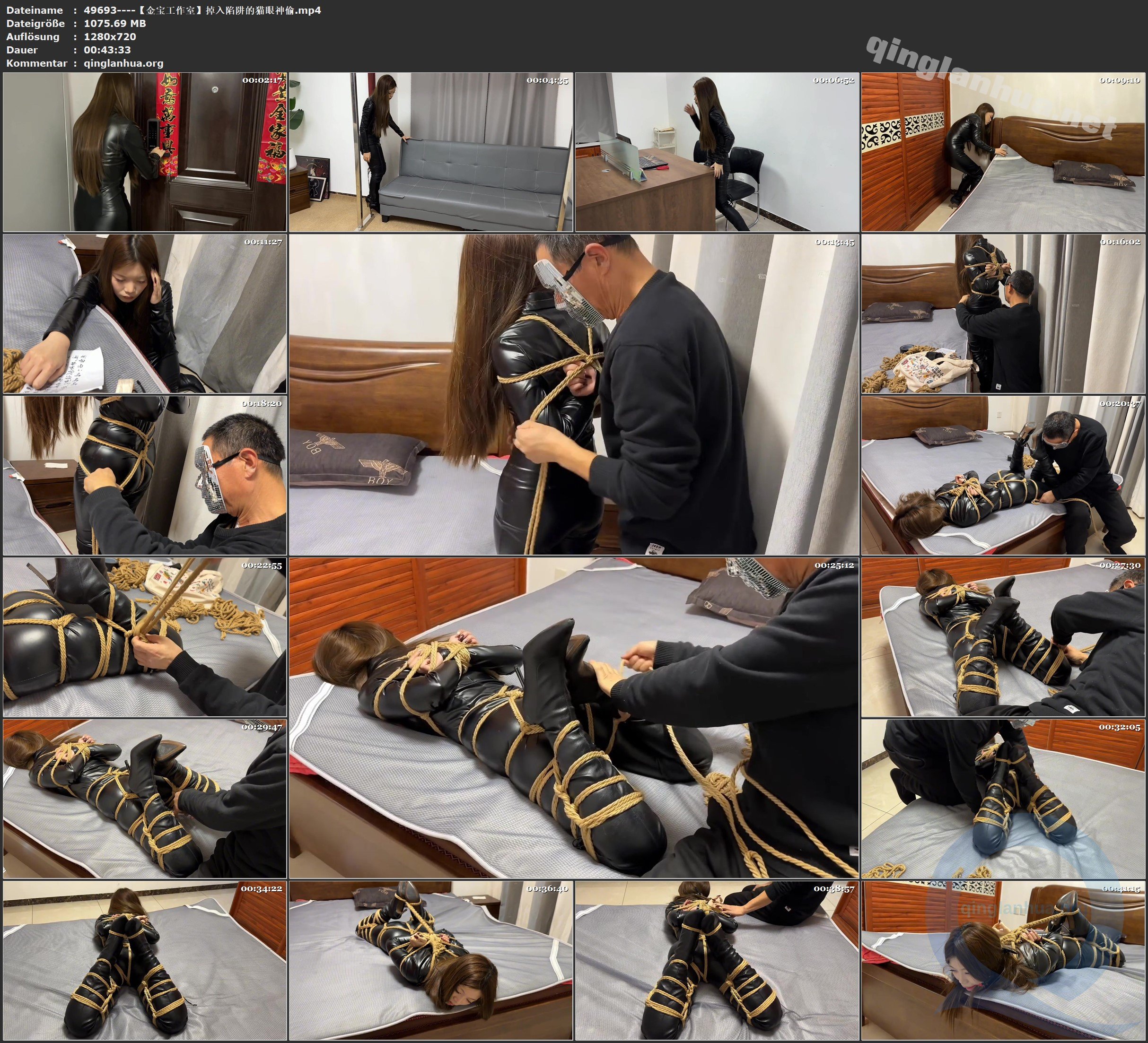49693----【金宝工作室】掉入陷阱的猫眼神偷.jpg