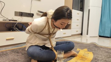 【李大侠原创】绑架佳佳下集