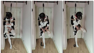 【青酱芝士已成】女仆芝士の单腿吊缚~