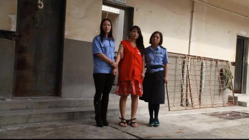 【梨花雨】玫瑰凋零