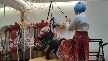 【球球工作室】猫妈的菊花由我来守护！