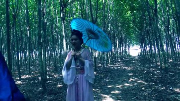 【胜景影视】古装女囚片《烈女奇案》上集 李小兰被诬陷杀害自己的公公，被屈打成招押往府城受审