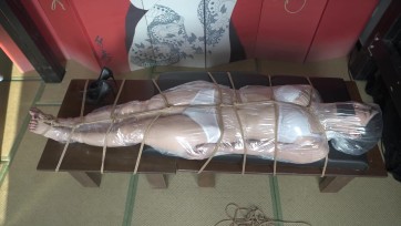 【象人工作室】嗷嗷-内衣驷马，透明塑料装袋封口