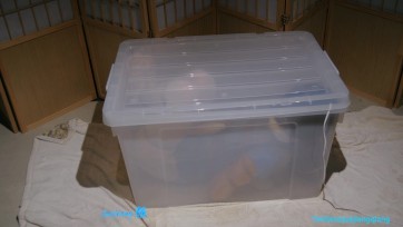 【倔强】小琦箱子囚禁
