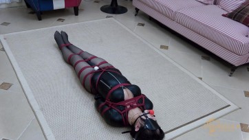 【半岛束艺台】【波雅】人类对Vibrator的真实感受